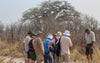 Guided walking tour, Botswana