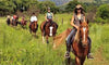 Horseback riding Gauteng, South Africa