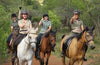 Horse Riding Gauteng South Africa