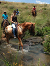 Tours Africa, Horse Riding adventure Gauteng