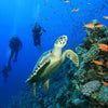 Mozambique Diving