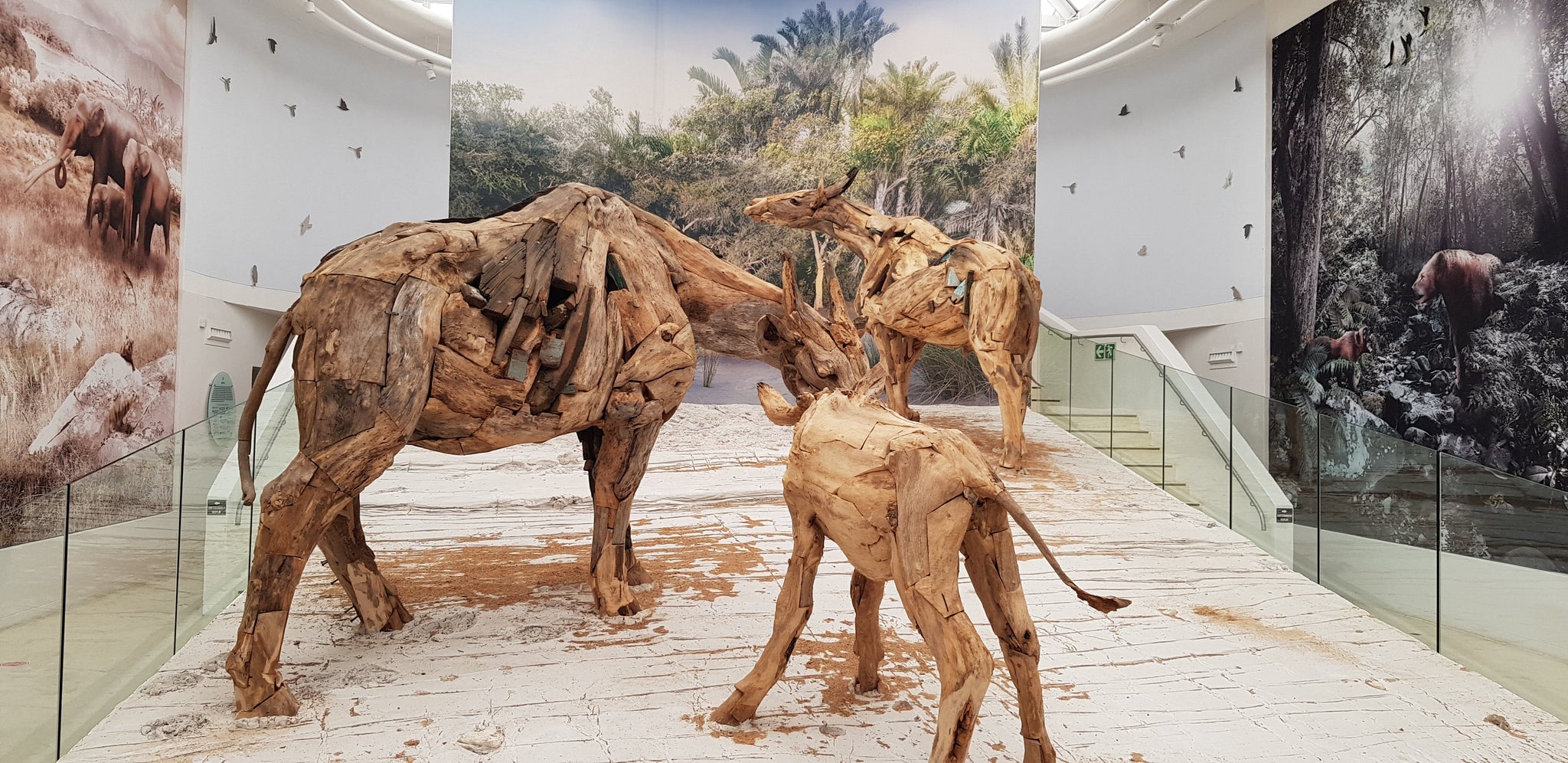  Fossil Park, West Coast, Western Cape, South Africa