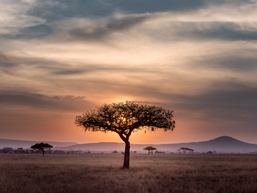 5 Things You Can Only Do Within South Africa