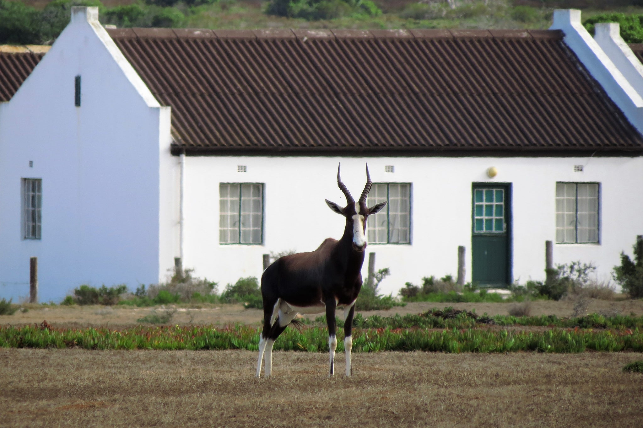 De Hoop Nature Reserve