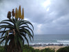 Planning a trip to the Garden Route in South Africa