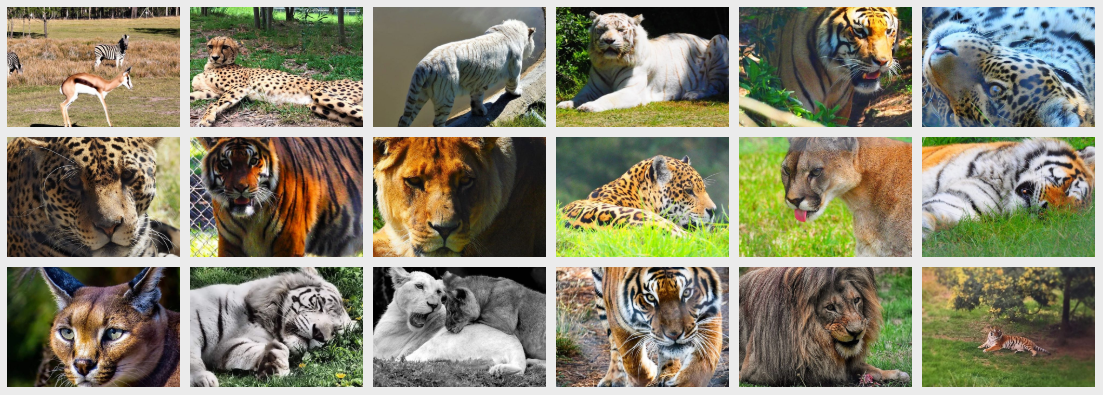 Win Entry for You and 3 Friends to an Adventure of Your Choice