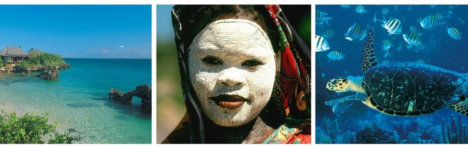 All The Travel Information You Need To Know About Mozambique