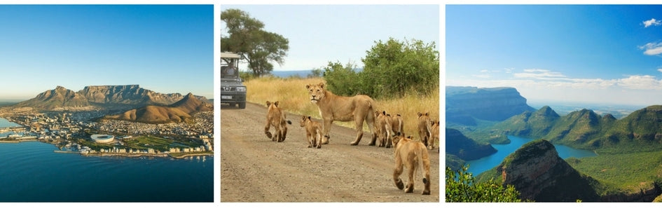 All The Travel Information You Need To Know About South Africa