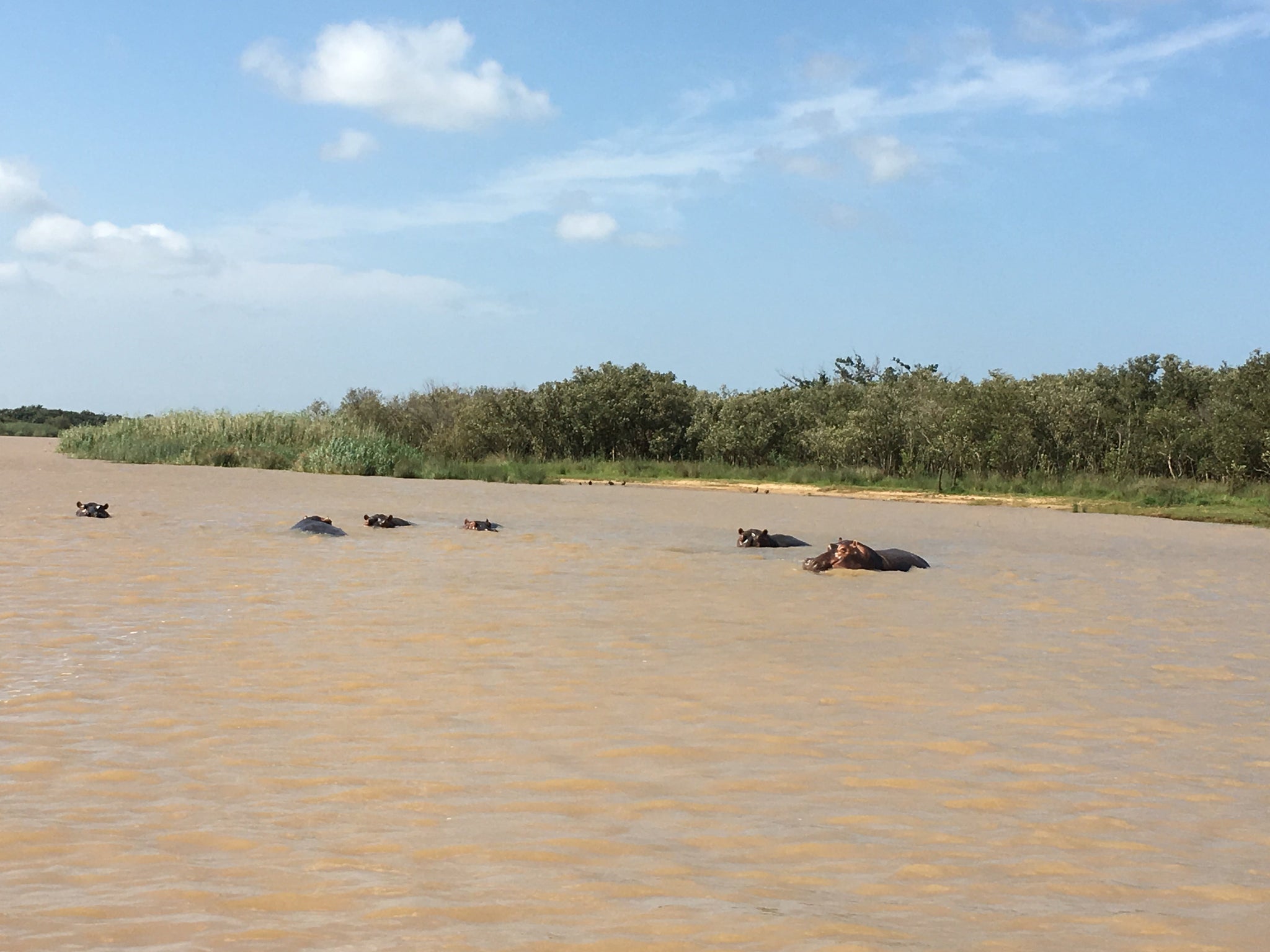 Special Trips to Take Just Outside of Durban (KwaZulu Natal, South Africa)