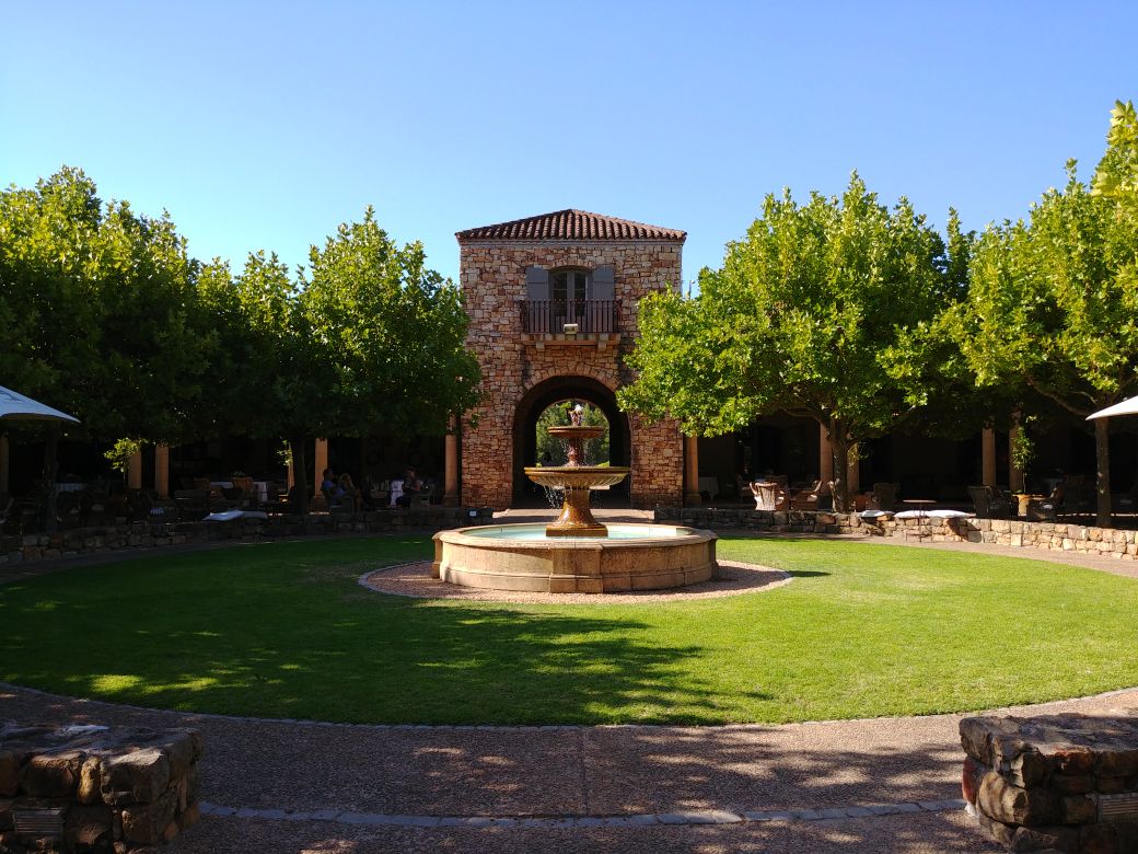 Going to a South African Wine Farm (Beginner's Guide)