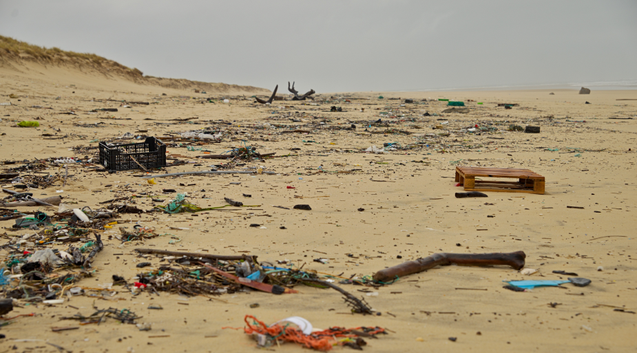 The Strandloper Project Coastal Hike