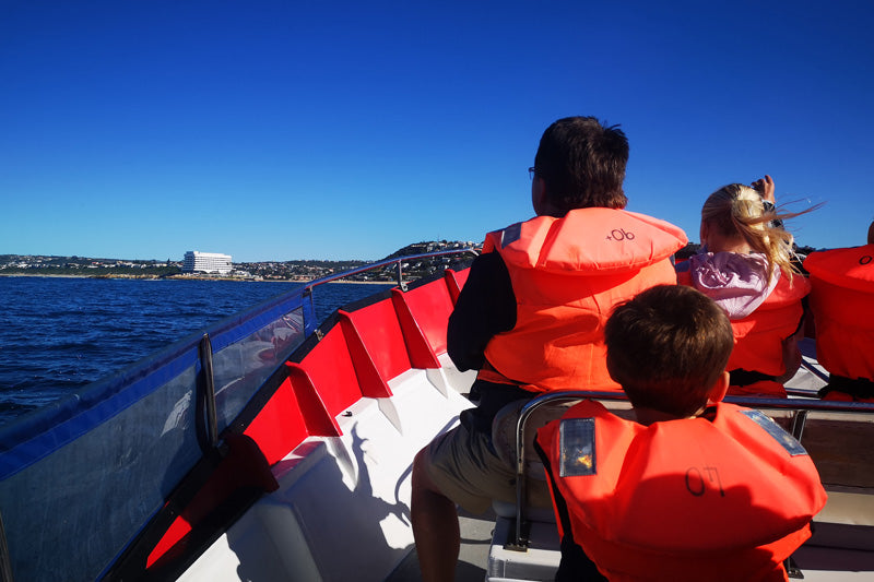 An ocean safari in Plettenberg Bay