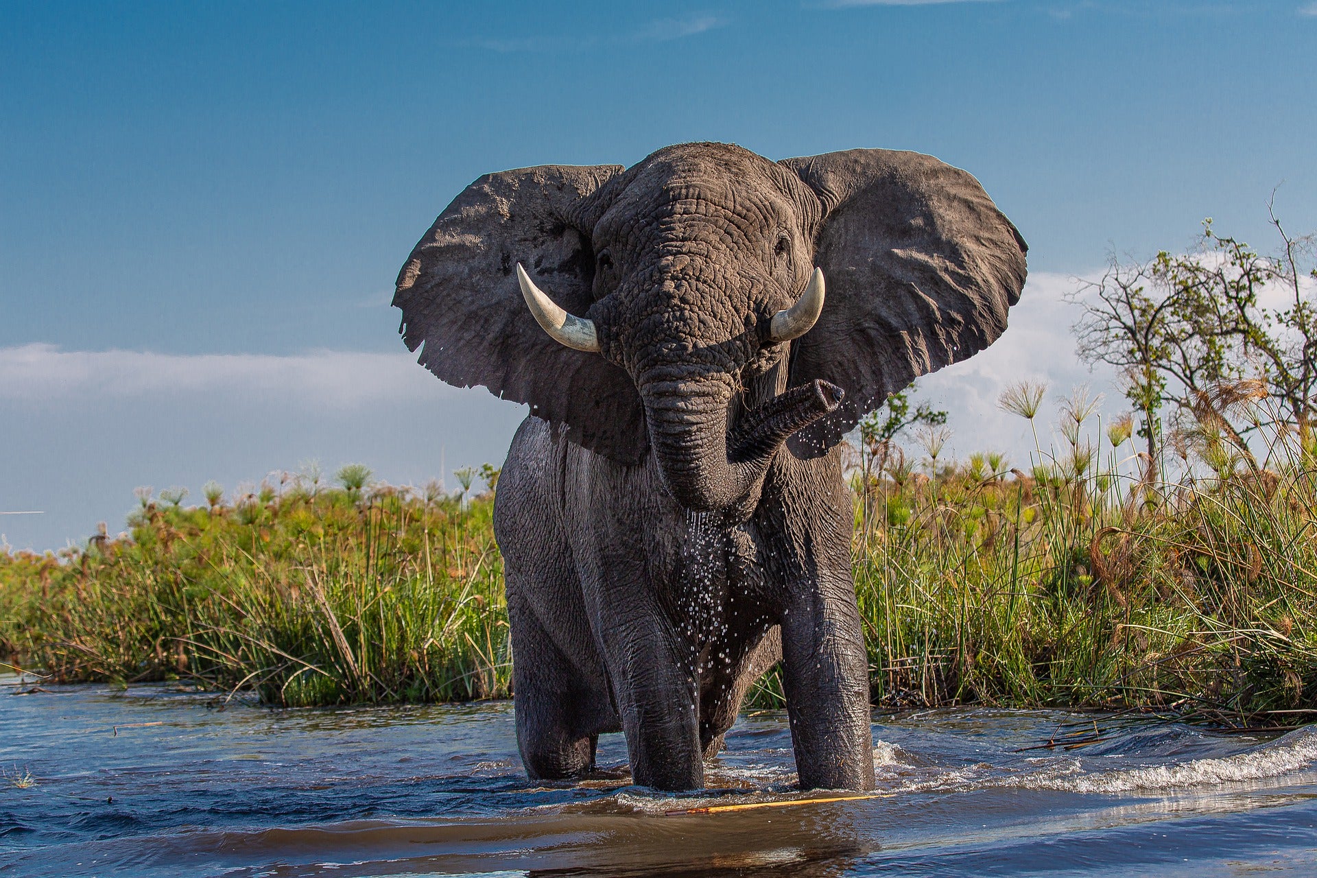 Botswana Multi Day Tours