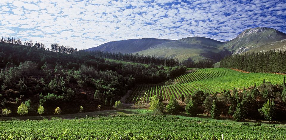 Elgin Valley Accommodation