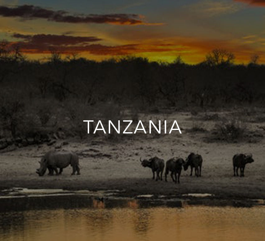 Tanzania Safari