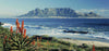 Day Tours: Western Cape