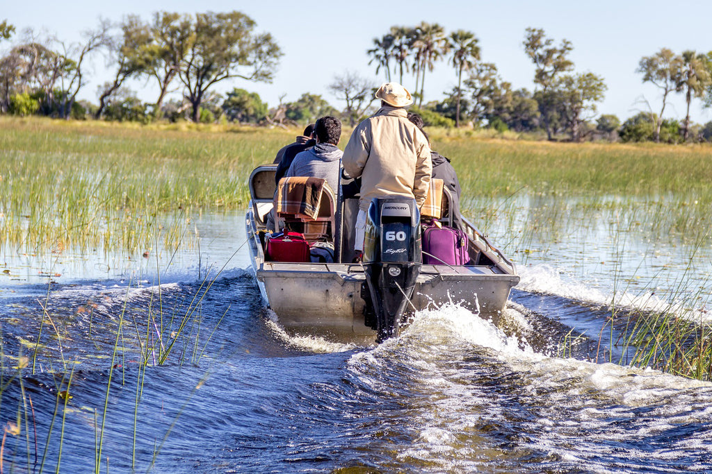 Boat Tours