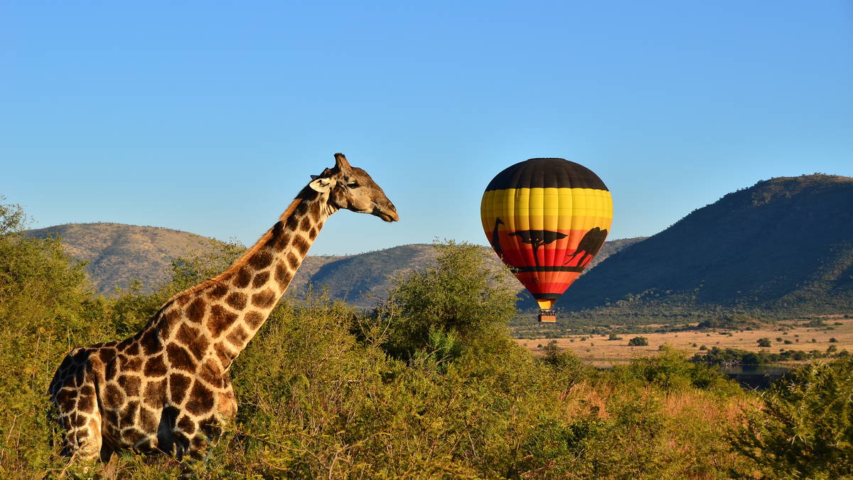 Welcome To Tours Africa: Book Your Tours & Travel Adventure