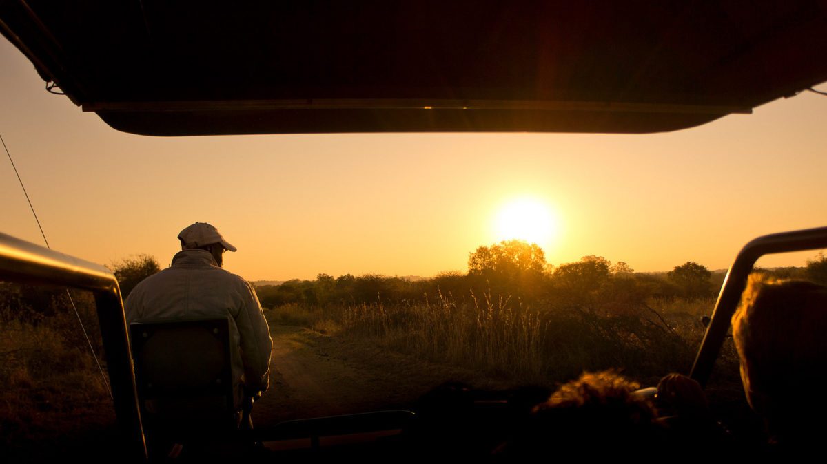 Dinokeng Big Five Game Reserve Gauteng Johannesburg South Africa