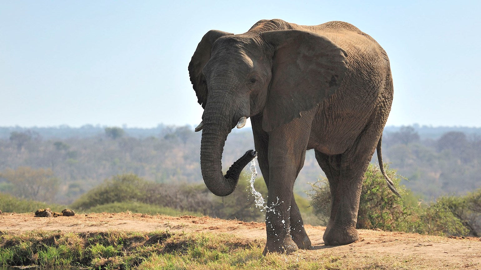 Tours And Activities In Limpopo, South Africa