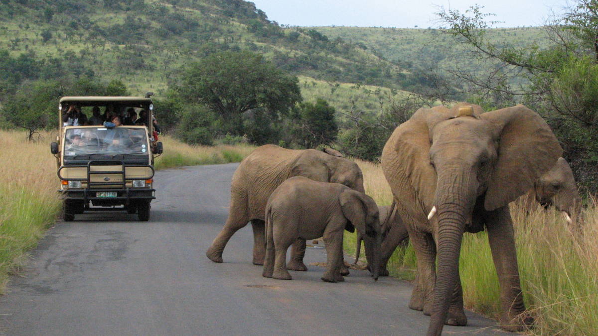 Safari Tours: North West