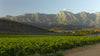 Robertson Wine Valley Accommodation