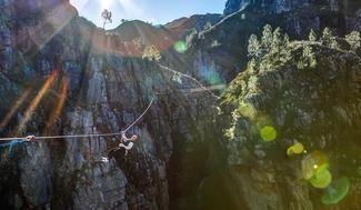 Cape Town: Canopy Tours/Ziplining
