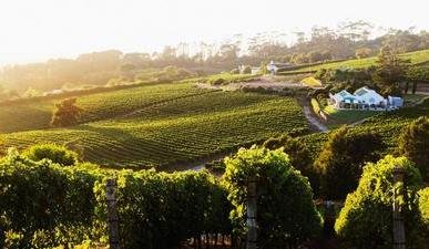 Cape Winelands Accommodation
