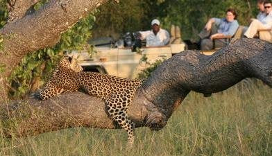 Kruger Park Shuttles