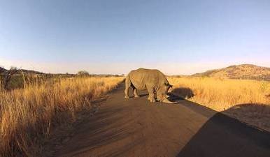 Pilanesberg National Park
