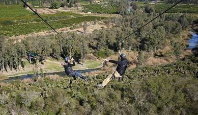 Addo Elephant Park Tours