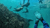 Free Diving & Snorkelling South Africa