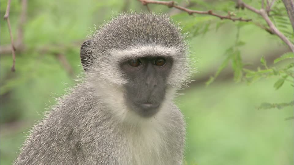 South Africa Wildlife Sanctuary