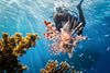 Underwater Activities Africa