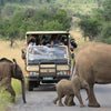 Game Drive Safari Pilanesberg South Africa