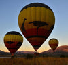 Hot Air Balloon Safari Pilanesberg, South Africa