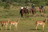 Horse Riding Trails St Lucia Estuary iSimangaliso Wetlands Park