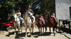 Horse Ride Cape Winelands Tour