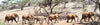 Kenya Tour Samburu and Masai Mara