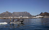 Boat Ride, Cape Town, South Africa