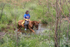 Tours Africa, Horse Riding, Horseback, South Africa