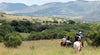 Horseback Safaris Hartbeespoort South Africa