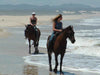Horse Trail in Jeffrey's Bay (Eastern Cape, South Africa)
