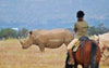 Horseback Safari In Cape Town, Western Cape, South Africa