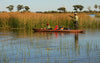 Mokoro Canoe Okavango Delta Botswana