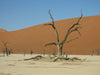 Namibia Desert Tour