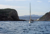 Sailing Charters Knysna Garden Route