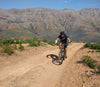 Stellenbosch Bike Tour